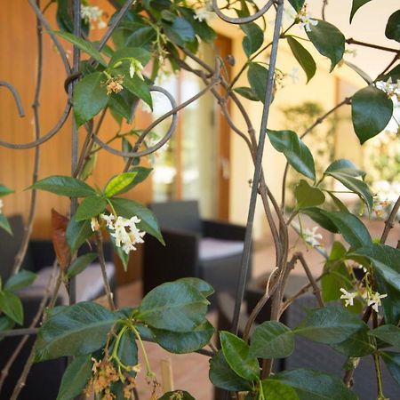 Il Vecchio Gelso - Agriturismo Rimini Montefiore Conca Villa Exterior foto