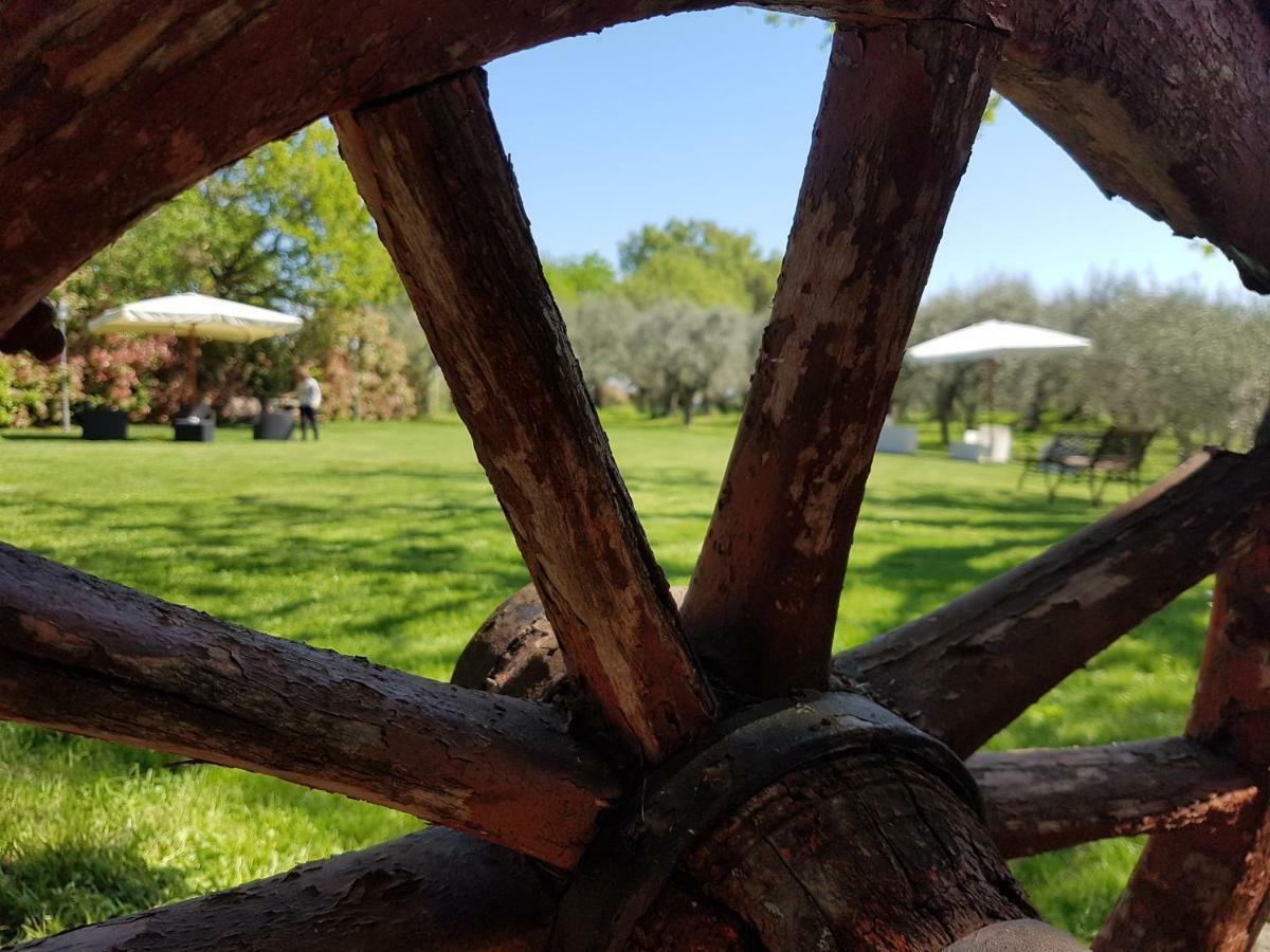 Il Vecchio Gelso - Agriturismo Rimini Montefiore Conca Villa Exterior foto
