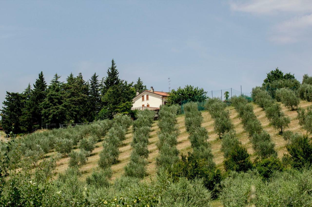 Il Vecchio Gelso - Agriturismo Rimini Montefiore Conca Villa Exterior foto