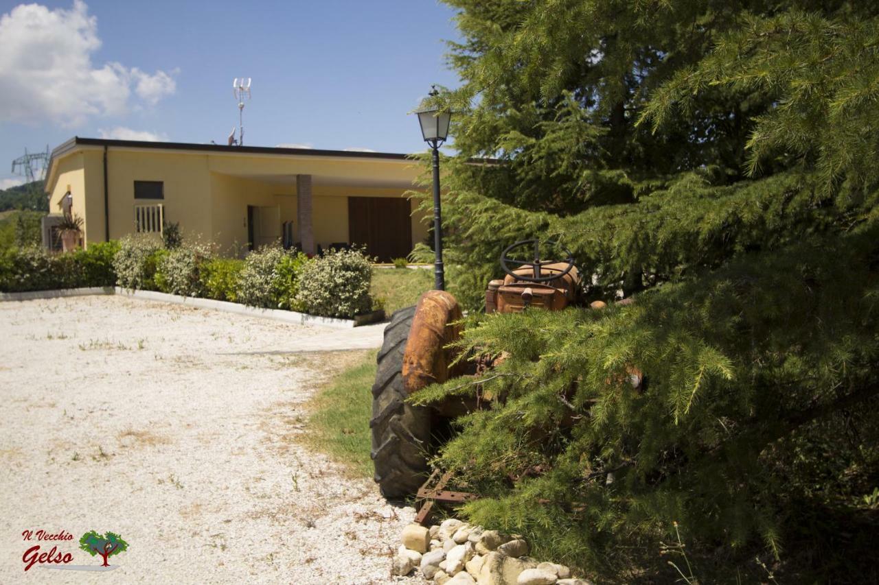 Il Vecchio Gelso - Agriturismo Rimini Montefiore Conca Villa Exterior foto